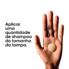 loreal Shampoo Absolut Repair