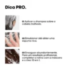 loreal Shampoo Absolut Repair